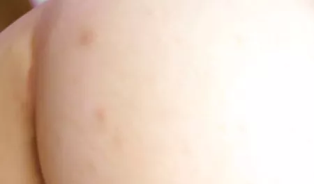 سارا جنده حرفه ای می تواند از طریق شبکه دوربین